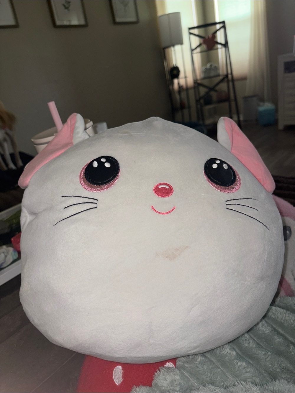 Mouse pillow